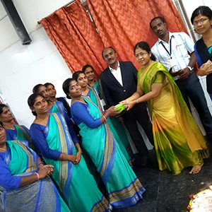 Wisdom in Curriculum